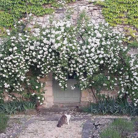 La Flor Azul Panzió Grospierres Kültér fotó